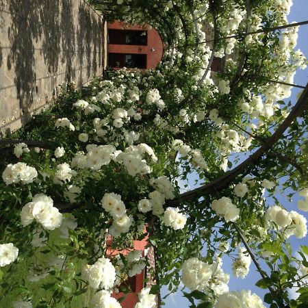 Agriturismo Casale Le Selvette Ripa 외부 사진