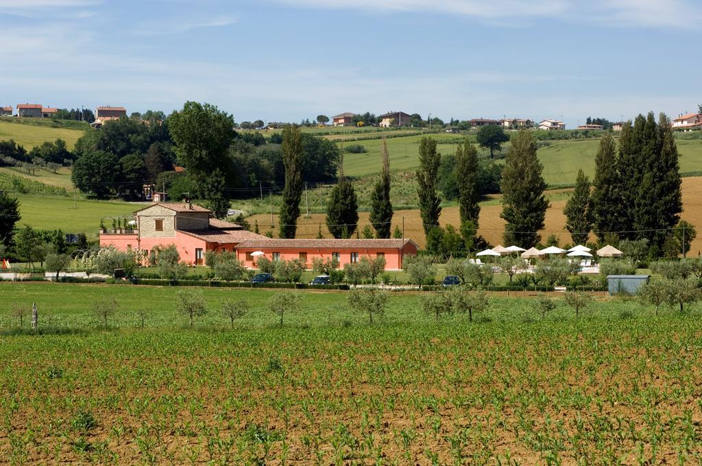 Agriturismo Casale Le Selvette Ripa 외부 사진