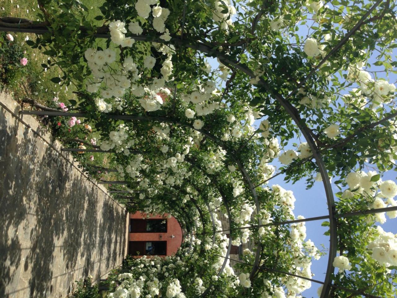 Agriturismo Casale Le Selvette Ripa 외부 사진