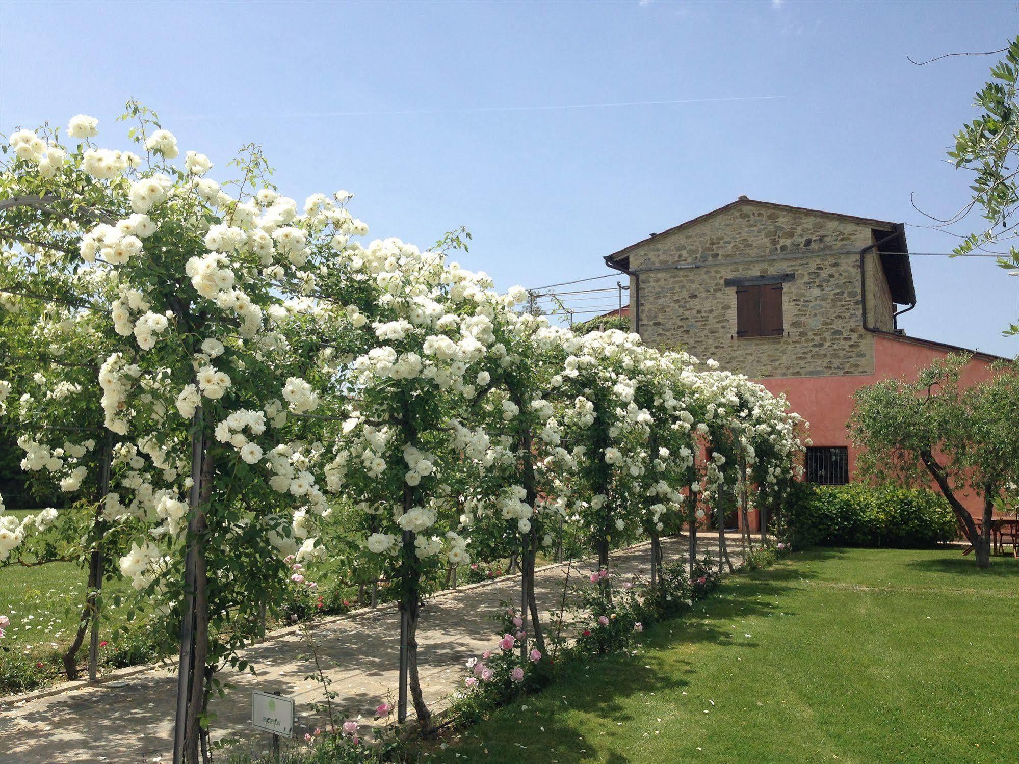 Agriturismo Casale Le Selvette Ripa 외부 사진